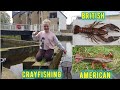 TRYING ARE LUCK AT CRAYFISHING IN THE LEEDS AND LIVERPOOL CANAL,,