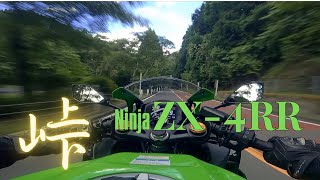 【ZX4RR】マフラー音聞くために奥多摩周遊道路で全開走行してみた　Kawasaki ZX4RR Pure Ehaust Sound【走行動画】