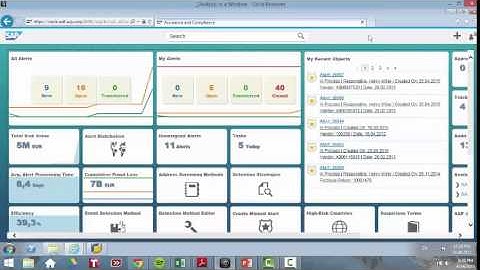 SAP GRC Fraud Management