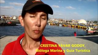 CALETA CHAÑARAL BOTEROS TURÍSTICOS 2017