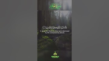 Amazing Relaxing voice , Listen To The Quran , Surah Al Haaqqah by QARI HAMZA AHMED |  سورة الحاقة