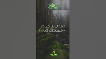 Amazing Relaxing voice , Listen To The Quran , Surah Al Haaqqah by QARI HAMZA AHMED |  سورة الحاقة
