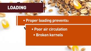 Training Module Chapter 6 | Bug Free Grains