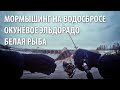 Окунь на каждом забросе + белая рыба / Мормышинг / Водосброс