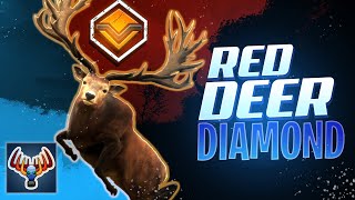 Red Deer Hunt on Te Awaroa - Another DIAMOND down!