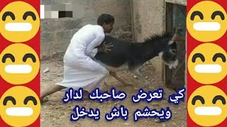 نكت جزائرية مضحكة جدا 2021 