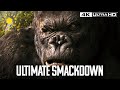 King kong vs v rex fight for 1 hour straight  4kr