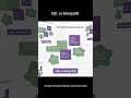 SQL vs MongoDB explain in Telugu #learncoding #techreels #short #codelearning #database