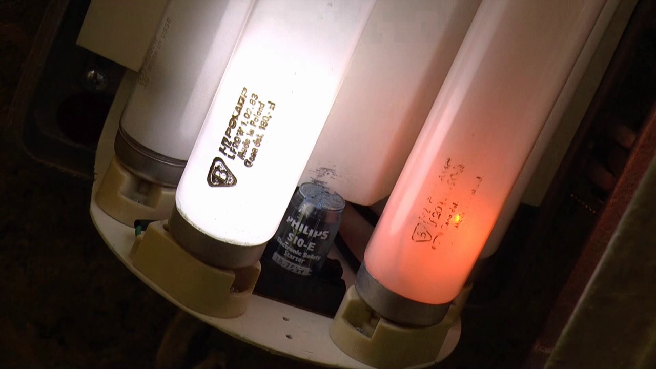 EOL - Polamp 20W - fluorescent tube burnout