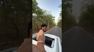 The Amrabad Tiger Reserve. 🐅🐯 While it remains a part of the greater Nallamala Forest 🌳🌳 landscape.