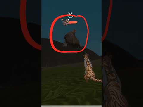 New Hacker On Battle Arena 