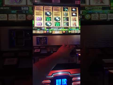 Jucă Casinou Online și Parieşi Sportive în Polonia – Descoperă Varietatea!