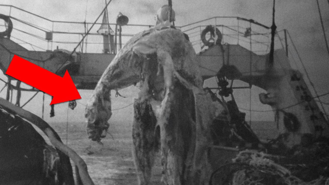 5 Times We Found Unexplained Creatures… Then Lost the Proof