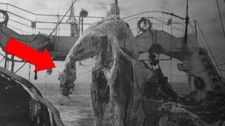 Download Lagu 5 Times We Found Unexplained Creatures… Then Lost the Proof MP3