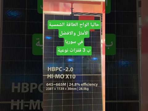 لونجي    10