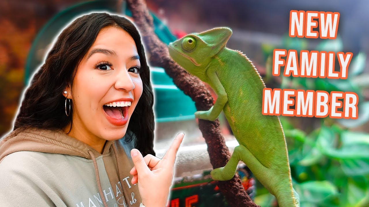 Can I Please Have It! | New Family Member!