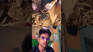 Wood cutting prosess how carpenter tips #woodscraft #woodworking #diy #asmr