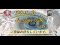 BLCD 男性声優作品おススメ編 その2 マダムXのティータイムトーク24(BLCD予告)