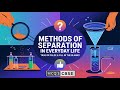 True or False Class 6 Curiosity Science Chapter 9 Methods of Separation in Everyday Life NCERT