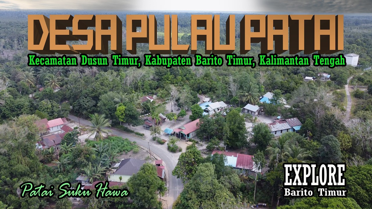 DESA PULAU PATAI || PASUHA || DESA WISATA DI KECAMATAN DUSUN TIMUR, KABUPATEN BARITO TIMUR