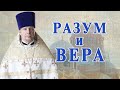 Разум и вера. Проповедь священника Димитрия Лушникова 12 декабря 2020.