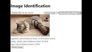 Celebrity COMP308-EmergingTechnologies-Lab Assignment # 5 Wealth