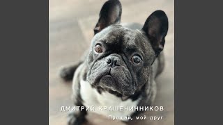 Прощай, мой друг - Дмитрий Крашенинников