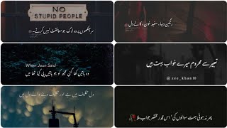 One Line Urdu Poetry for Instagram bio & Whatsapp status|| urdu quotes|| Instagram caption ideas screenshot 3