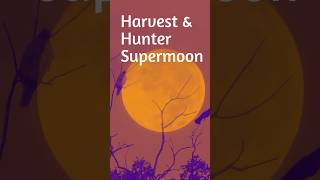 Double Moon Magic: Harvest &amp; Hunter Supermoon | Rare Hawk &amp; Crow Dusk Encounter