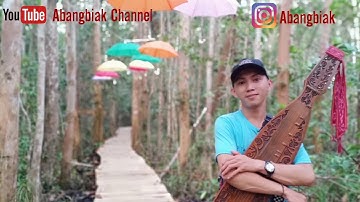 Satu Nusa Satu Bangsa ~ cover sape