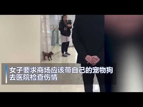 寵物狗被電梯夾住，女子要求商場給狗送醫