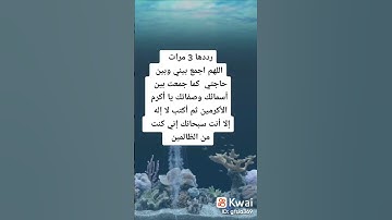 رددها ثلاث مرات| #اكسبلور #المصحف #لايك #يصلك #سورة القارعه #العلم #ترند