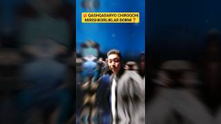 👋 VIDEONI QASHQADARYOLIK JIGARLARGA YUBORAMIZ ❗️#qarshi #kosan #sirdaryo #chiroqchi #video #shorts