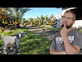 117 كيفية إستغلال المزرعة بالمشاريع المربحة كيفية عمل الجبن من حليب الماعز ما هو مصدر دخلي