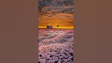 سعد الغامدي:سورة ال عمران الايه:(٩)