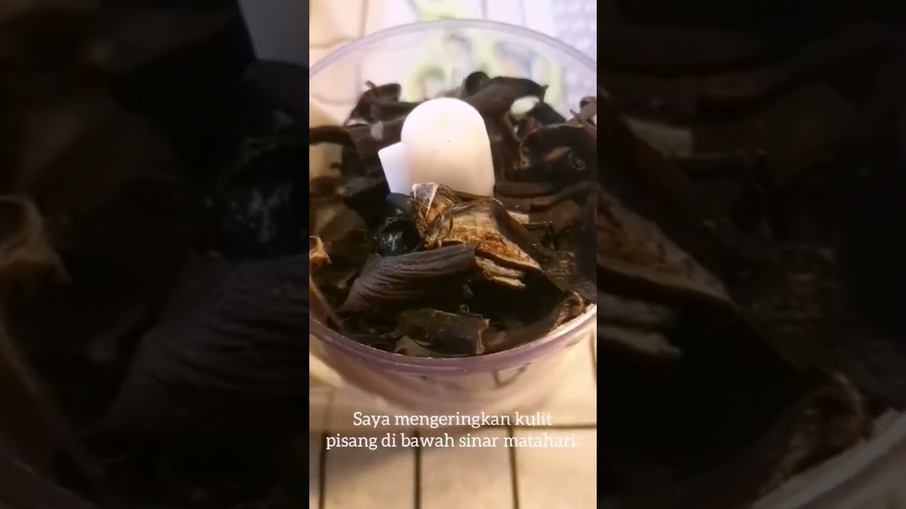 Cara Membuat Pupuk dari Kulit Pisang yang Sudah Dikeringkan | Pupuk Organik 