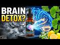 Pineal Guardian Review: Clear Brain Fog in 7 Days?