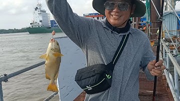 Câu cá giải trí tại Cầu Vượt không ngờ câu được cá Chìa Vôi.