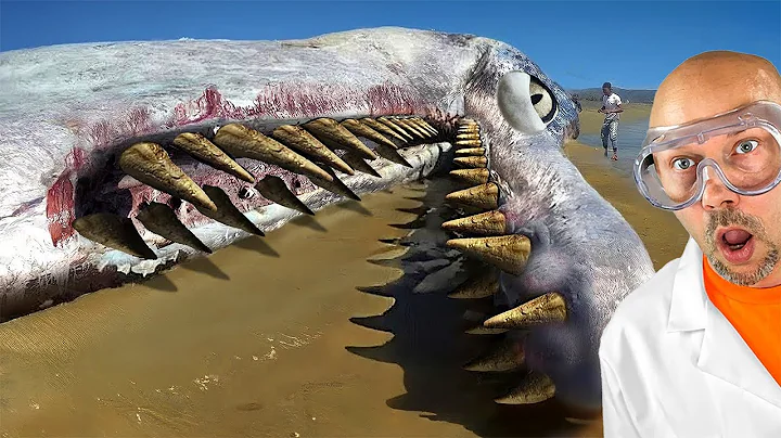 this killed the megalodon