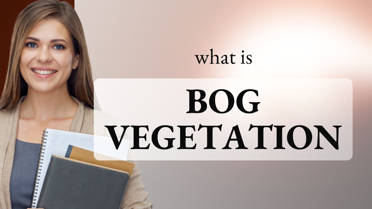 Understanding "Bog Vegetation": A Journey into Wetland Ecosystems