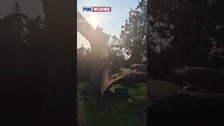 EF-3 tornado damages cemetery in Wisconsin