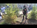 Более восьми тысяч молодых деревьев появилось в Астане благодаря субботнику