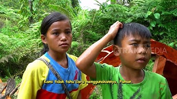 BOCAH PETUALANG | HASIL HUTAN SUNGAI LISAI (18/10/18) 2-3