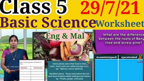Class 5 Basic Science 29/7/21 Worksheet|STD 5th Basic Science 29/7/21 Worksheet|Eng &Mal|@educutz131