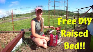 Planting In ONLY Rabbit Manure! | DIY Raised Bed For Free!