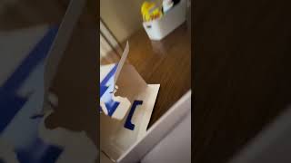 Lets Go Just Got My New Controller