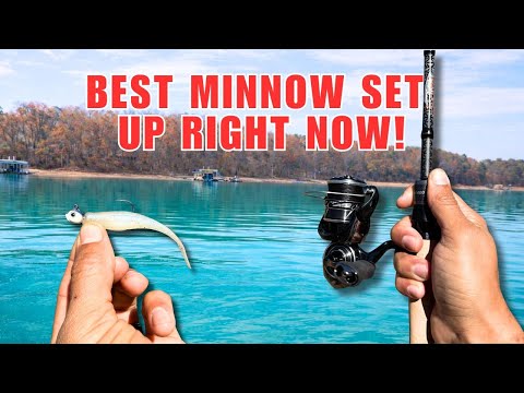 Catch More Fish: Jighead Minnow Tips That Work!