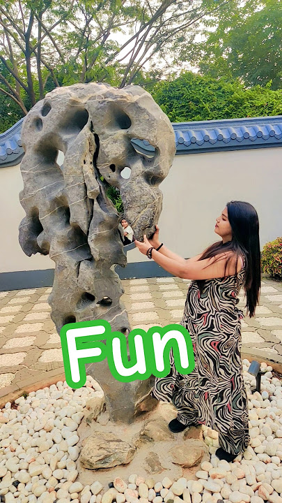 happy #enjoy #moment #popular #happy #funny #comedy #shorts #india #evening #like #like #usa #uk
