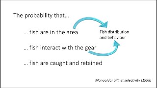 Defining Selectivity - Fisheries Stock Assessment and Management