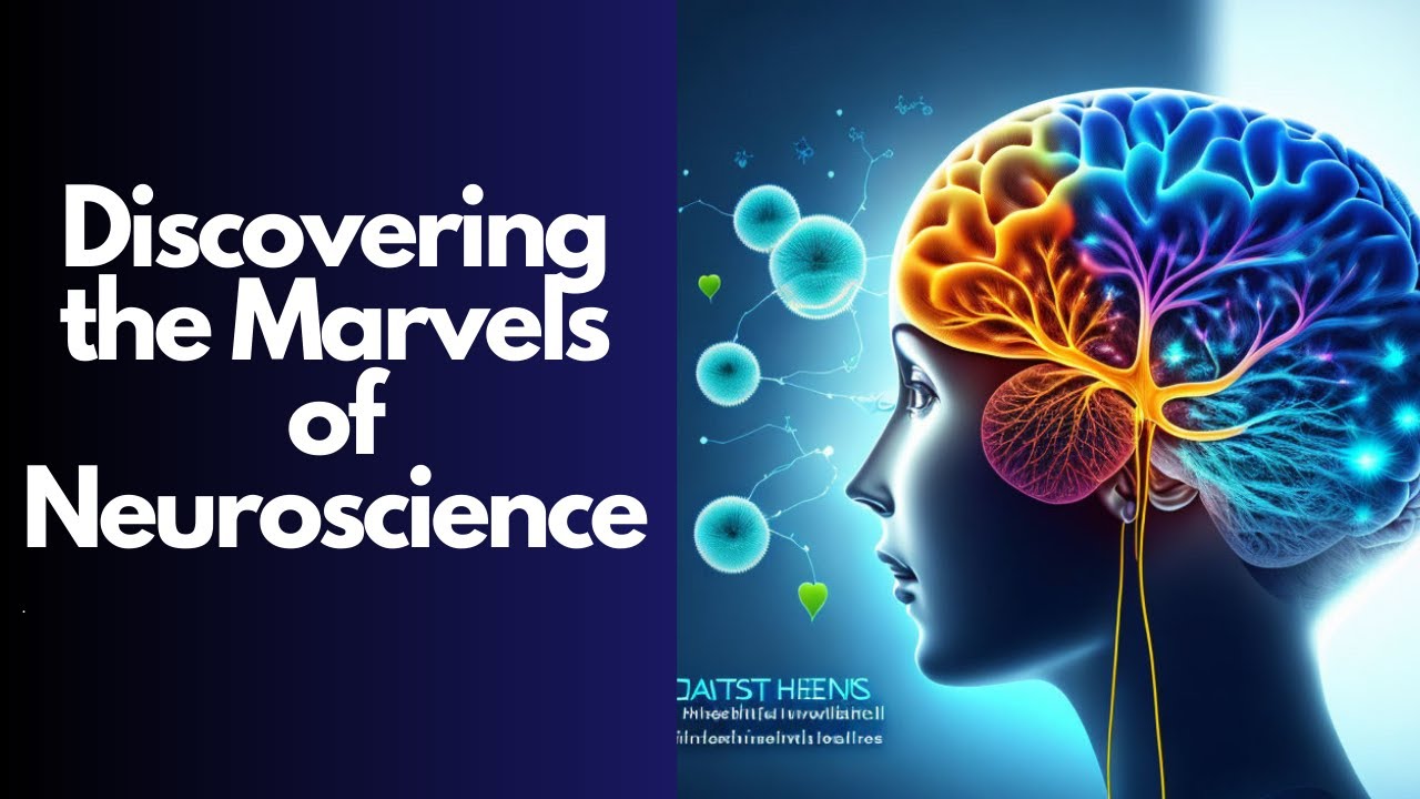 Unraveling the Wonders of Neuroscience: Journey into the Human Brain ...